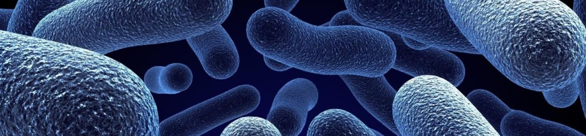 bacillus0
