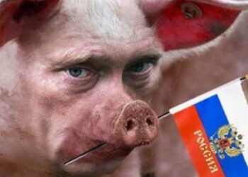 Зони впливу РФ обмежуються валізою з лайном Путіна, – речник МЗС Тихий