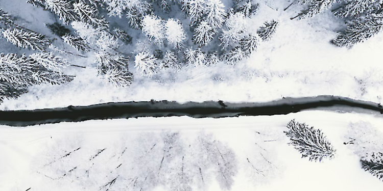 Киян закликали утриматися від виходу на вулицю без нагальної потреби