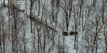 Незаконну порубку дерев на Житомирщині виявлено за допомогою дрона: порушника притягнуто до відповідальності