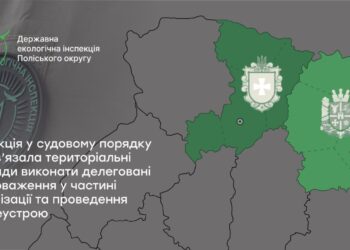 Суд зобов’язав виконавчий комітет Коростенської міської ради виконати делеговані повноваження у сфері охорони довкілля