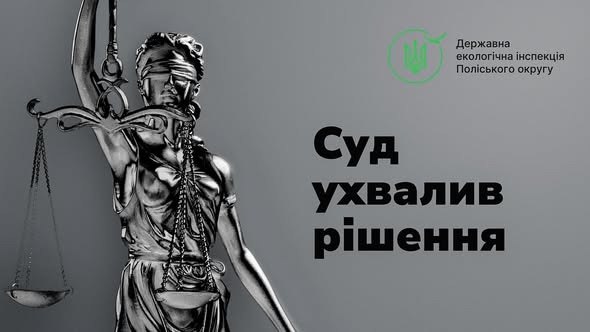 Суди вчергове стали на бік Екоінспекції: комунальне підприємство має відшкодувати понад 1,7 млн грн шкоди лісу