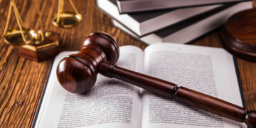 Громада на Житомирщині “не помітила” 200 гектарів лісу: суд змусив чиновників визнати реальність