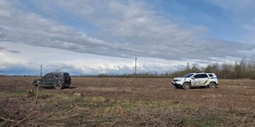 Майже 10 млн грн шкоди: на Житомирщині зафіксовано масову незаконну порубку 955 дерев