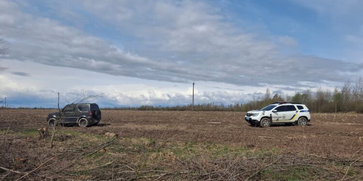 Майже 10 млн грн шкоди: на Житомирщині зафіксовано масову незаконну порубку 955 дерев