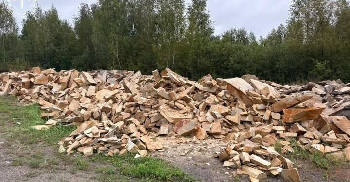 Понад 16 млн грн збитків довкіллю: прокуратура передала до суду справу щодо незаконного видобутку піщанику на Житомирщині