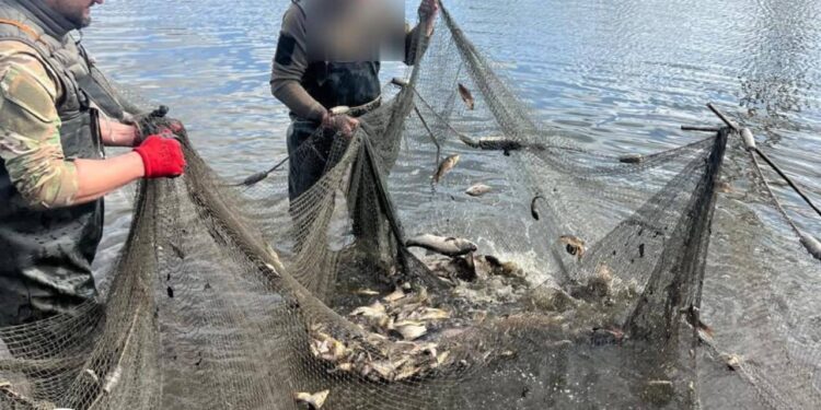 Держекоінспекція повідомляє