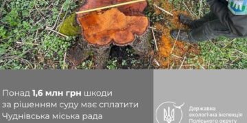Суд зобов’язав Чуднівську міську раду відшкодувати понад 1,6 млн грн шкоди за незаконну порубку дерев на території громади