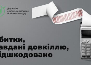 Понад 402 тис. грн збитків за незаконну порубку дерев на Рівненщині стягнуто на користь держави у судовому порядку