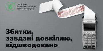 Понад 402 тис. грн збитків за незаконну порубку дерев на Рівненщині стягнуто на користь держави у судовому порядку